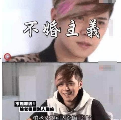 娱乐圈大佬吃瓜小说在线阅读